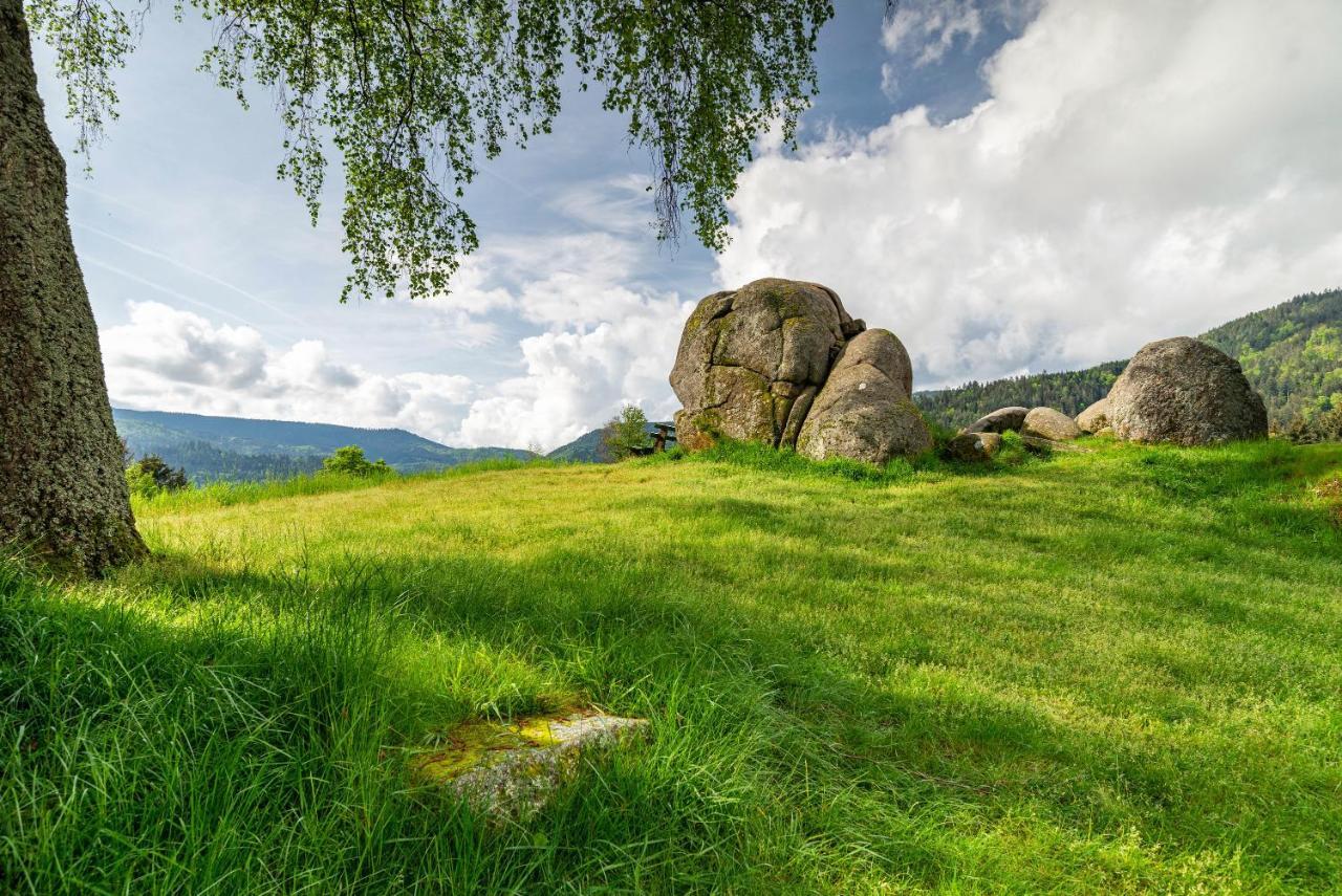 Apartmán Bergblick Forbach Exteriér fotografie